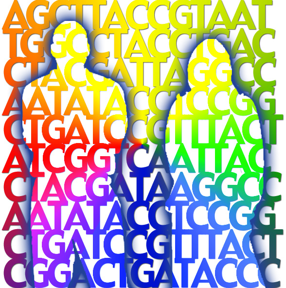 outlines of two bodies with rainbow letters "GATTACA" across