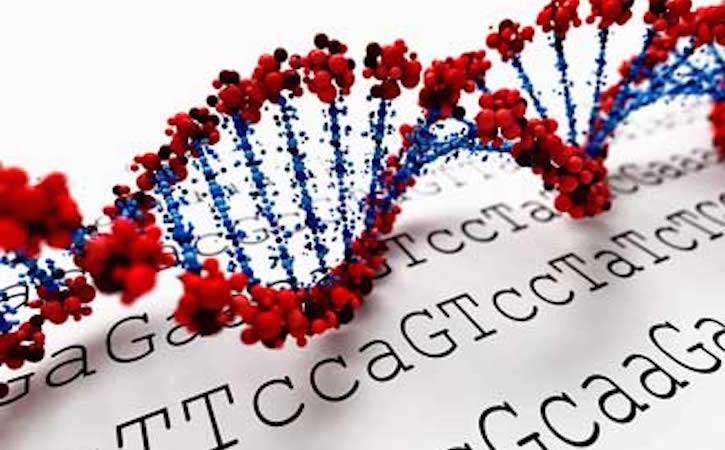 Double helix DNA strand in red and blue over a background of letters T, C, A, and G.
